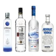 Lice Clinics of America Northern IL discusses if vodka can kill lice