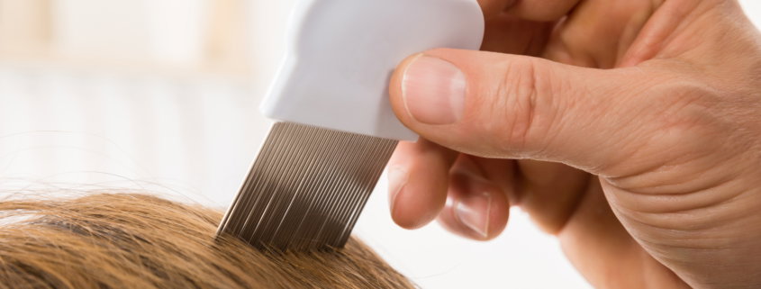 Combing through hair scanning for lice